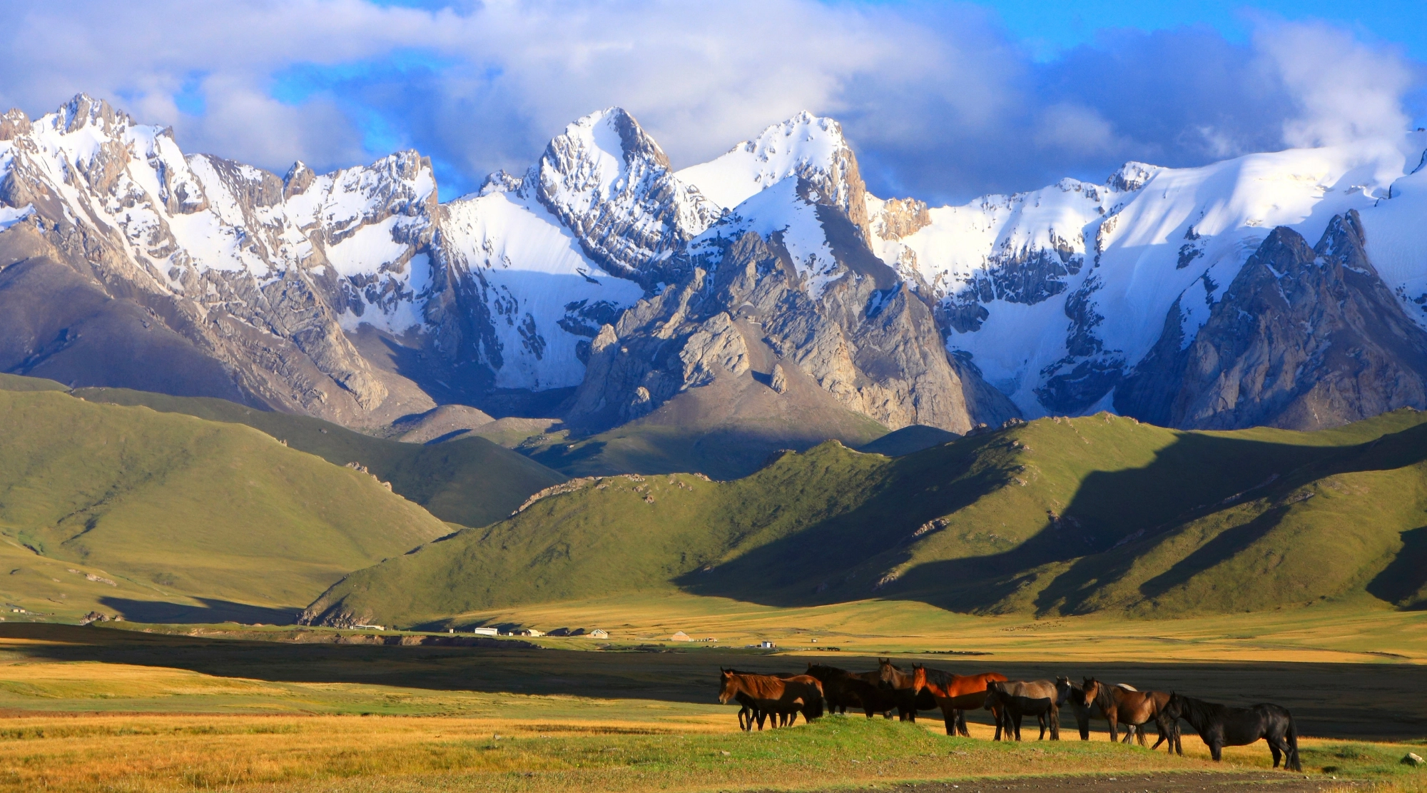 Безопасность на природе