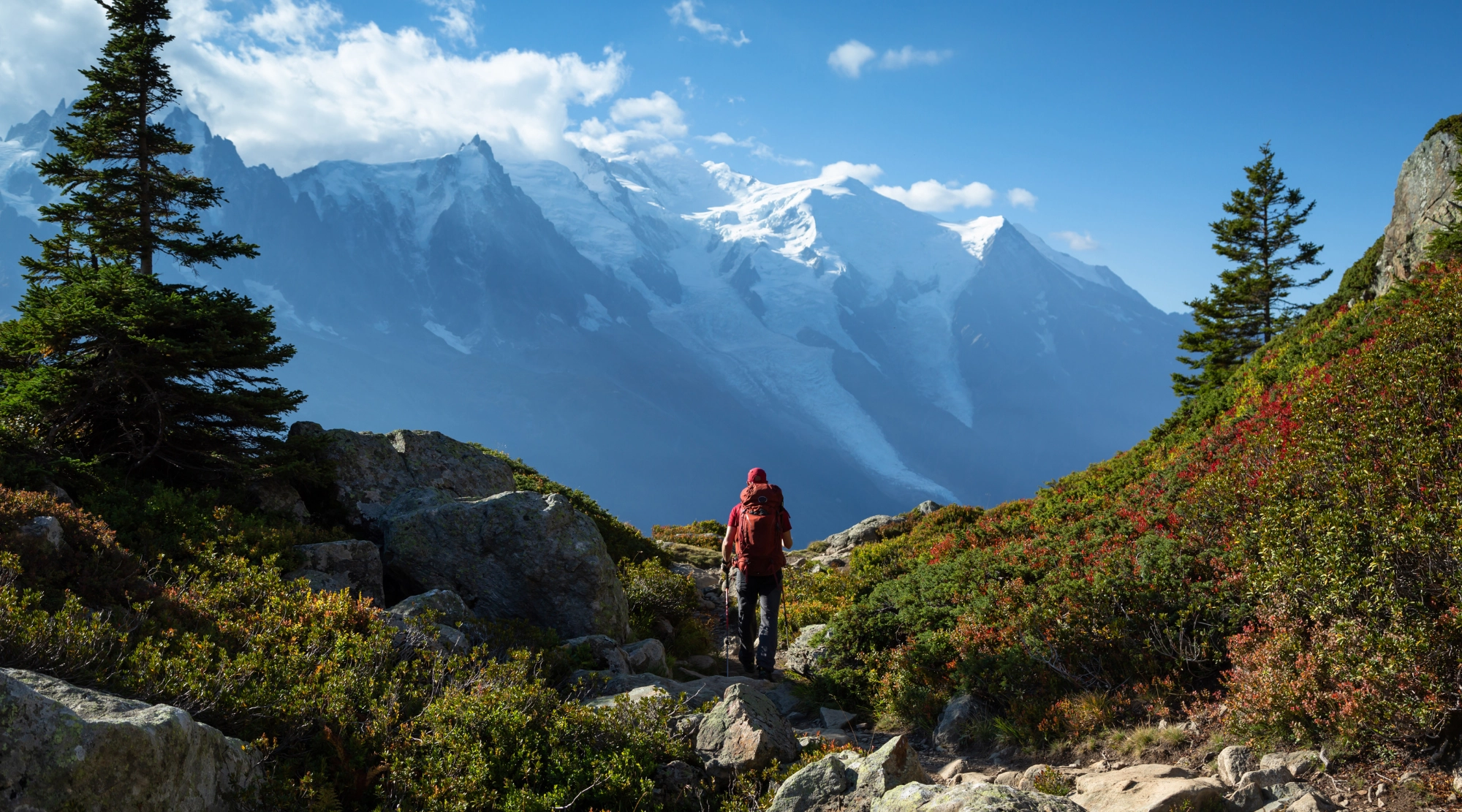 Добровольное страхование от несчастного случая