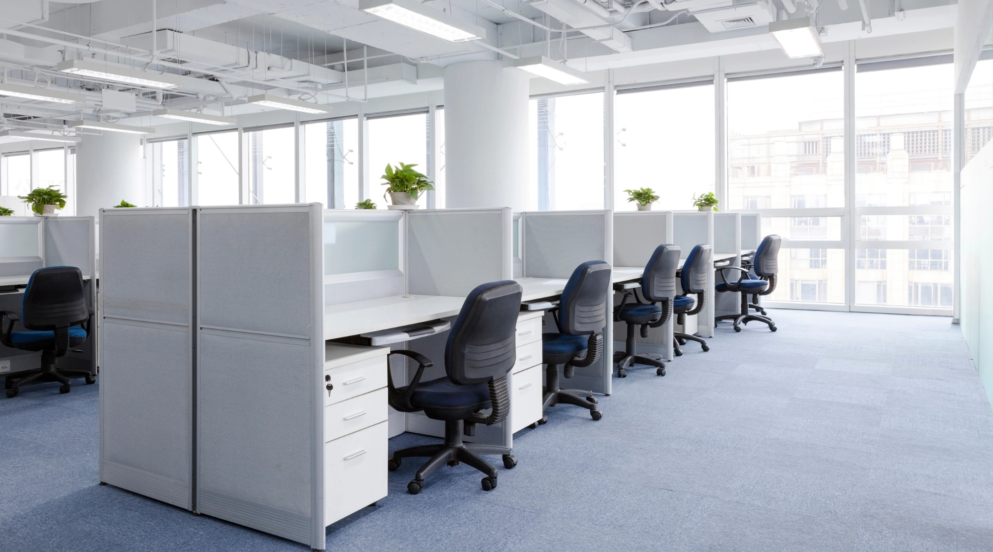 Имущество юридических лиц