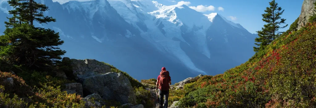 Добровольное страхование от несчастного случая
